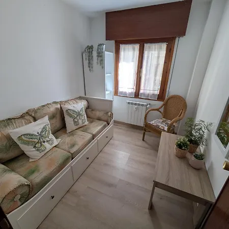 Apartment Puro Centro *